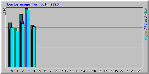 Hourly usage for July 2025